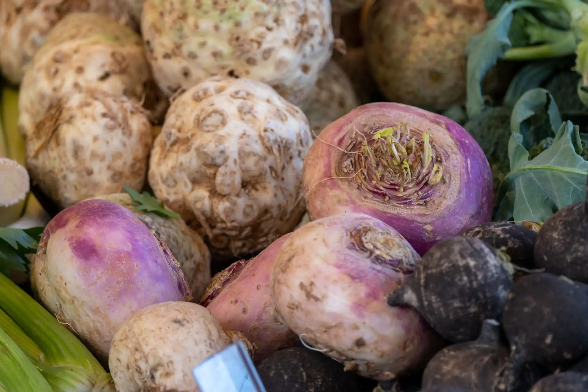 Root vegetables on a stall at the Schrannenmarkt farmers market in Salzburg
