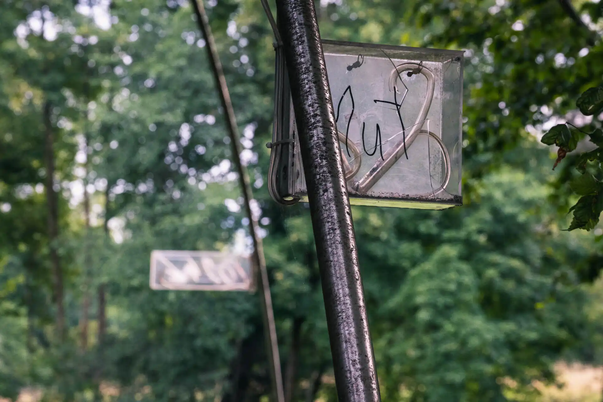 ziffern im wald fibonacci numbers 01